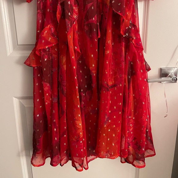 NWT ANTHROPOLOGIE gorgeous dress ! - Picture 6 of 10